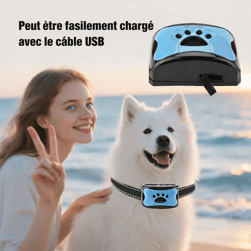 Collier Anti-Aboiement Intelligent Gros Chien