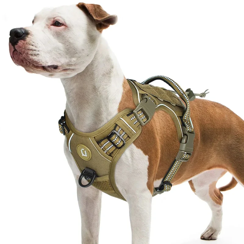 Harnais Militaire Tactique Gros Chien