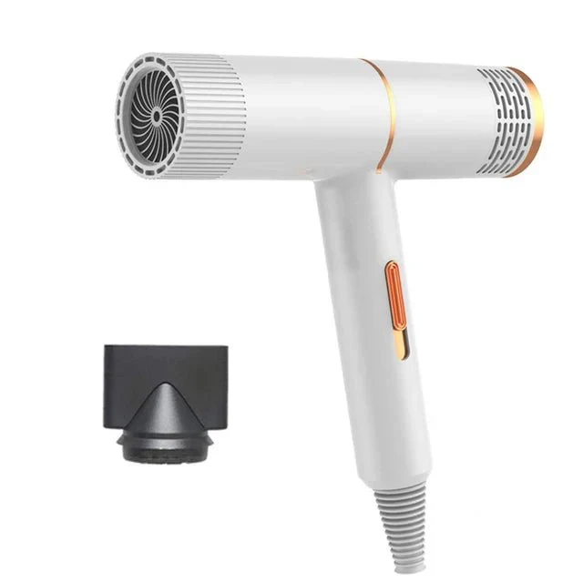 Sèche-Poils Ionique 1000W Gros Chien Silencieux