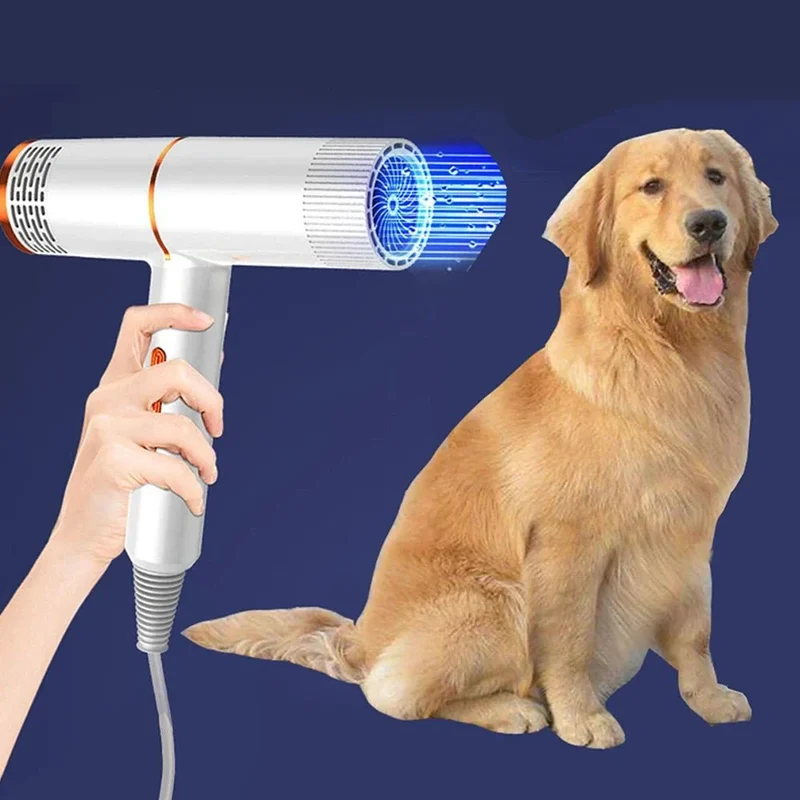 Sèche-Poils Ionique 1000W Gros Chien Silencieux