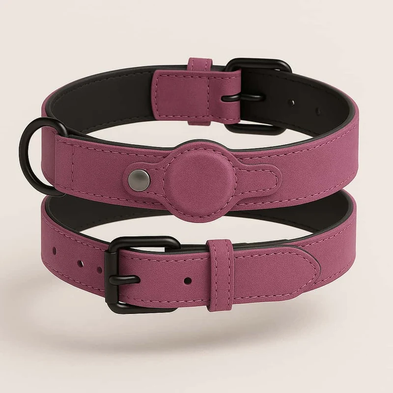 Collier Cuir Emplacement AirTag Gros Chien