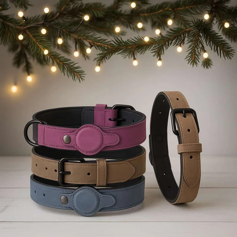 Collier Cuir Emplacement AirTag Gros Chien