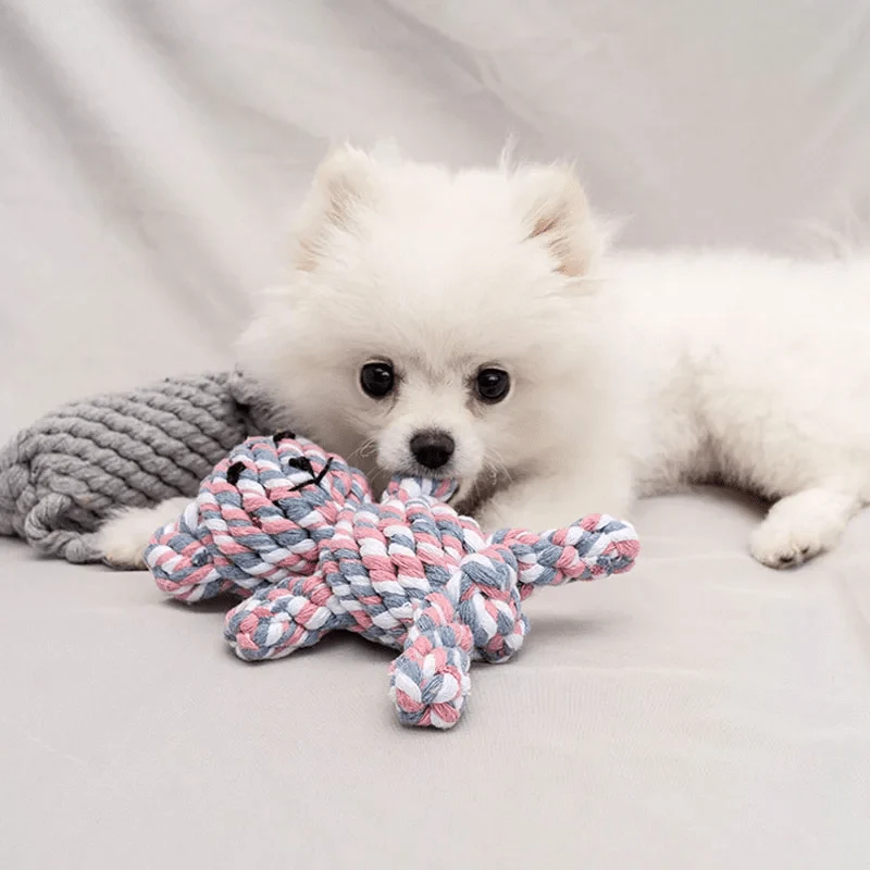 Jouet Peluche Animal Résistant Gros Chien