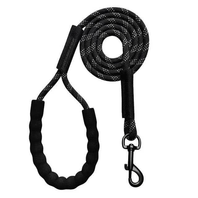 Laisse Corde Bungee Réfléchissante Gros Chien