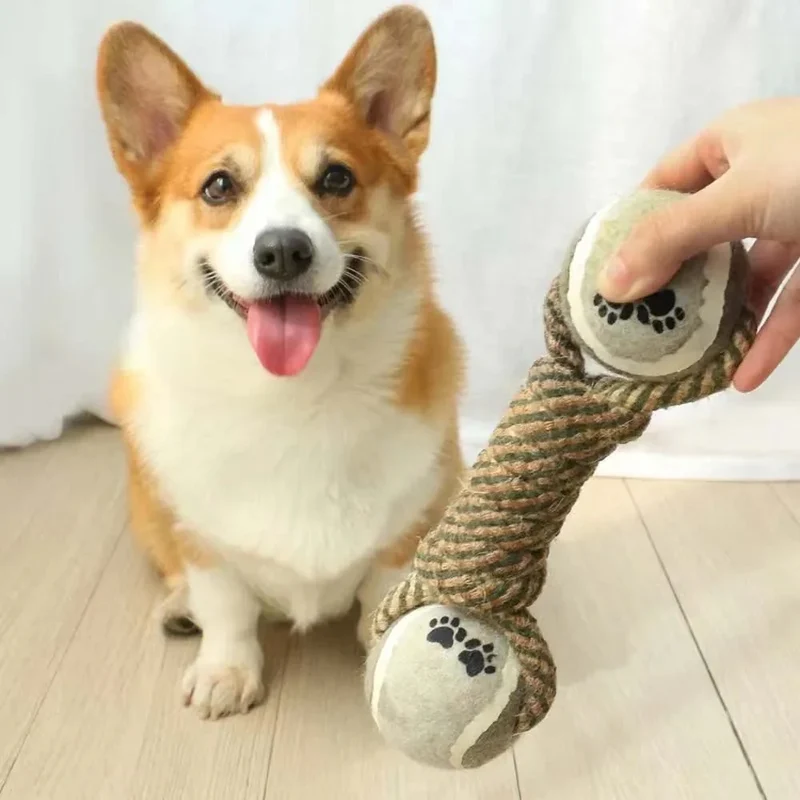 Jouet Corde Balle Tennis Gros Chien