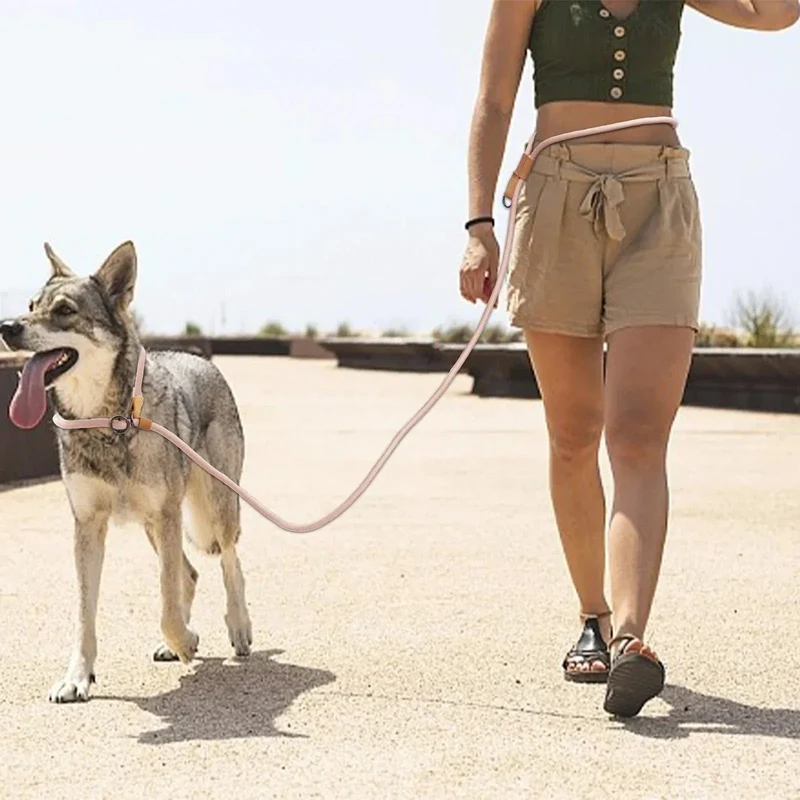 Laisse Mains Libres Chien Multifonction 210 300cm