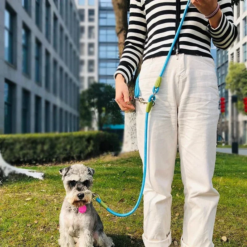Laisse Réfléchissante Nylon Chien Mains Libres 240cm