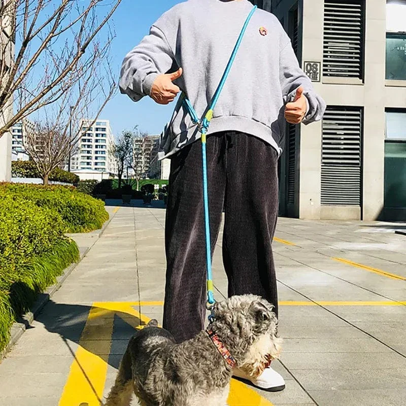 Laisse Réfléchissante Nylon Chien Mains Libres 240cm