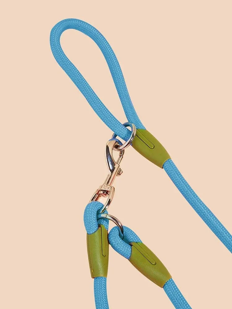 Laisse Réfléchissante Nylon Chien Mains Libres 240cm