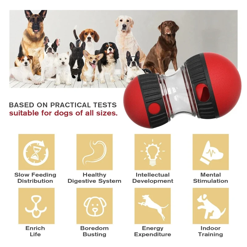 Jouet Distributeur Croquettes Chien Anti-Glouton