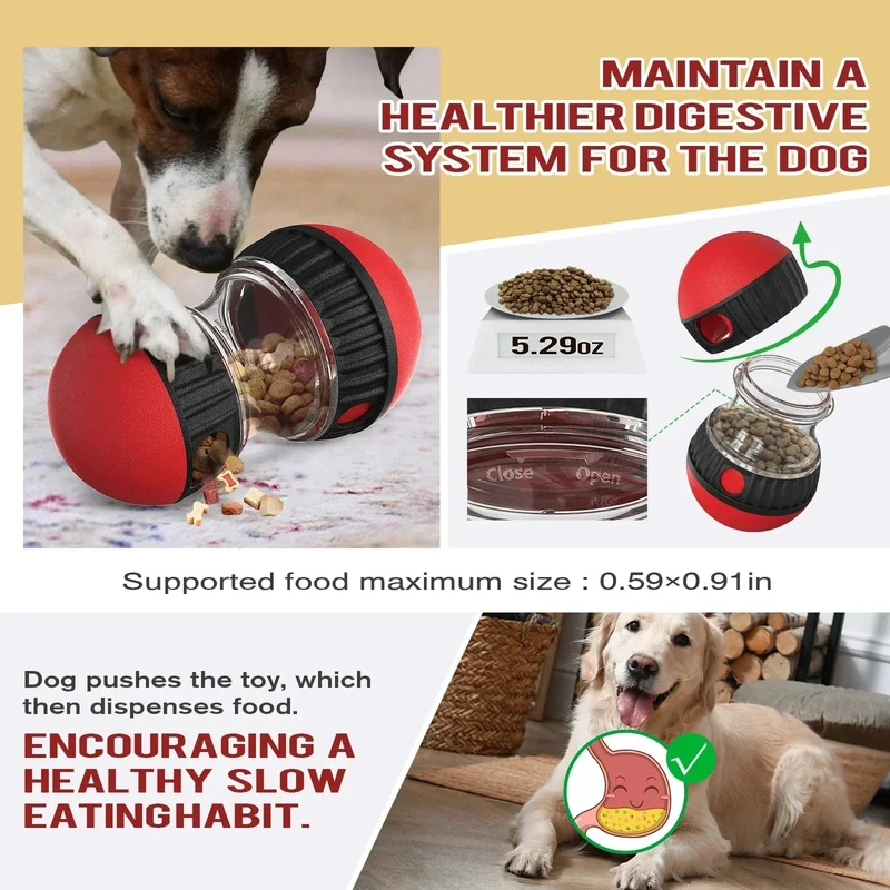 Jouet Distributeur Croquettes Chien Anti-Glouton