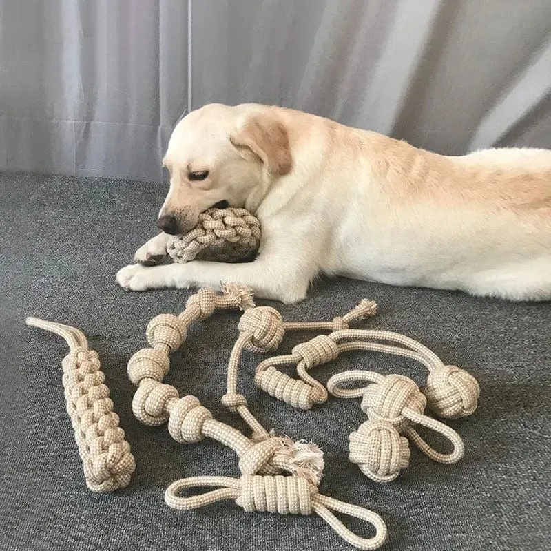 Jouet Corde Résistant Chien Hygiène Dentaire