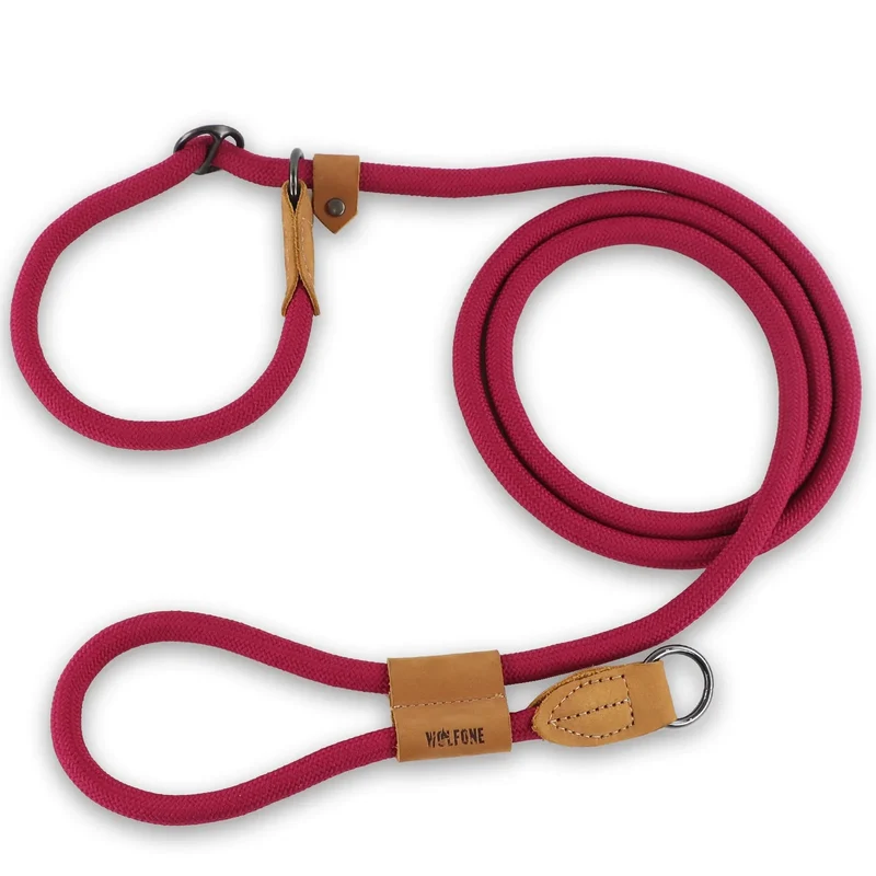 Laisse Lasso Chien Nylon Colorée 2 à 3 Mètres
