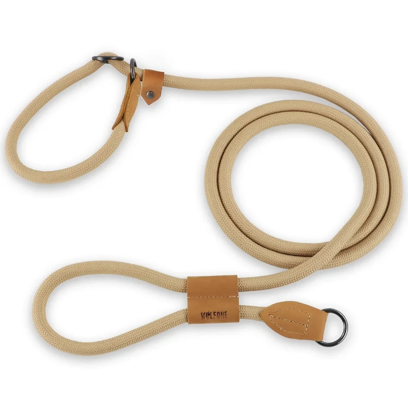 Laisse Lasso Chien Nylon Colorée 2 à 3 Mètres