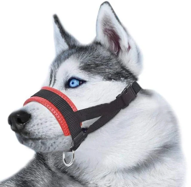 Licol Anti-Traction Réglable Grande Race