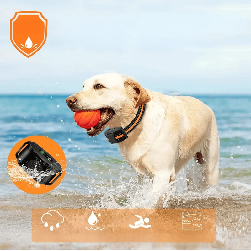 Collier Dressage Télécommande Rechargeable Chien