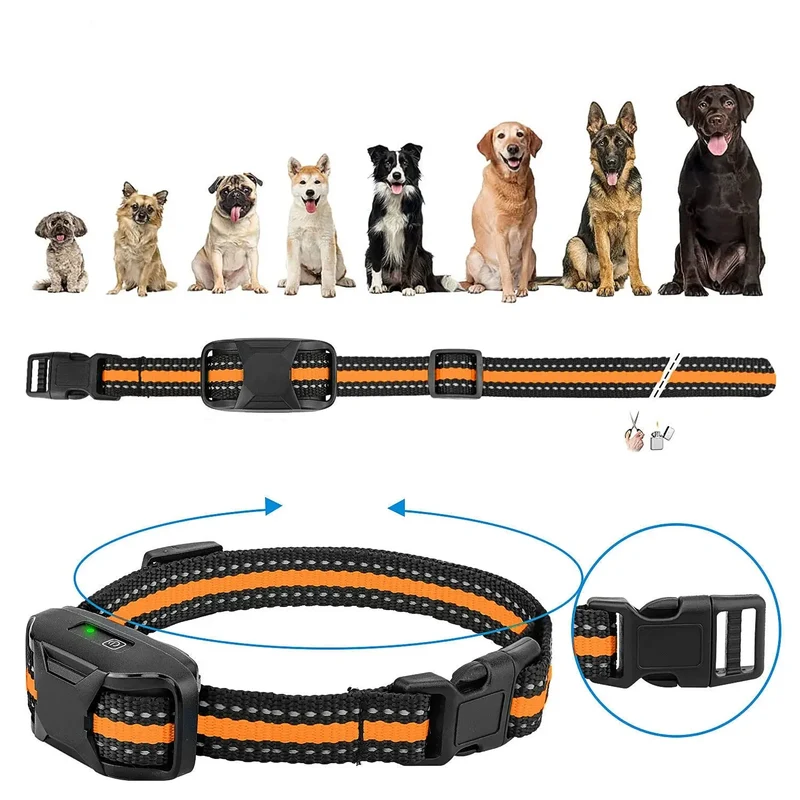 Collier Dressage Télécommande Rechargeable Chien