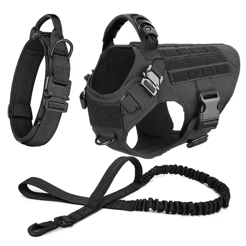 Harnais Tactique Gros Chien Set Complet