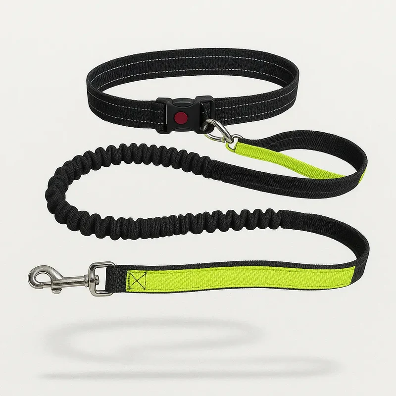 Ceinture Laisse Main Libre Canicross Chien