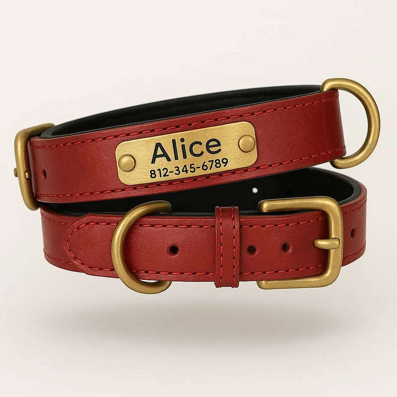 Collier Cuir Chien Personnalisé Gravure