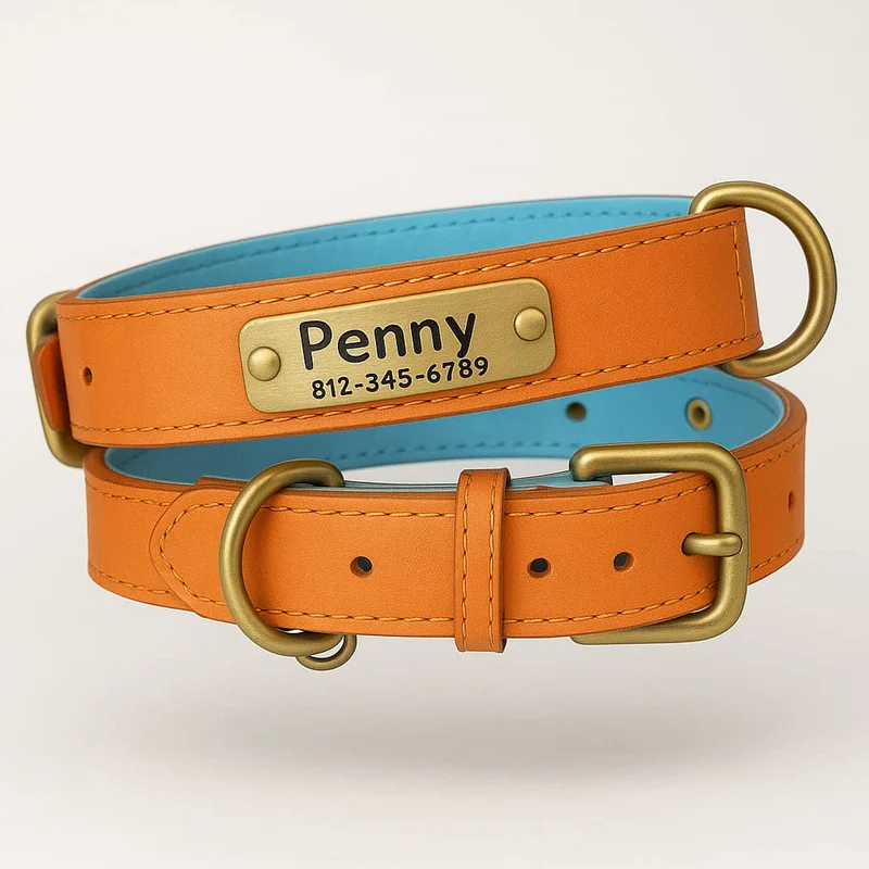 Collier Cuir Chien Personnalisé Gravure