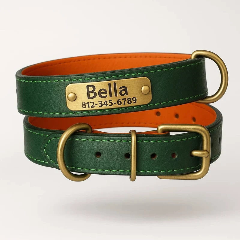 Collier Cuir Chien Personnalisé Gravure