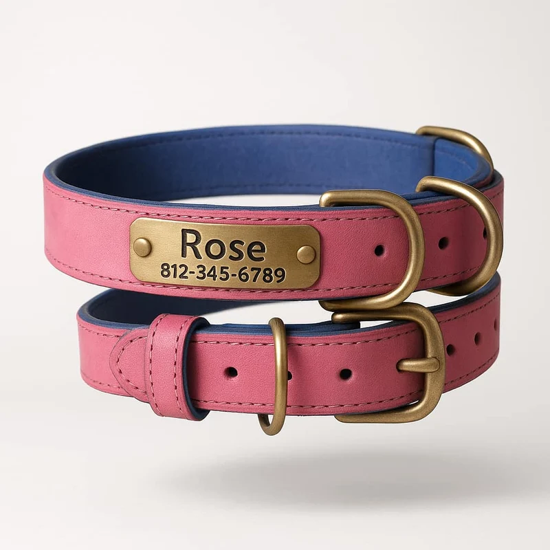 Collier Cuir Chien Personnalisé Gravure