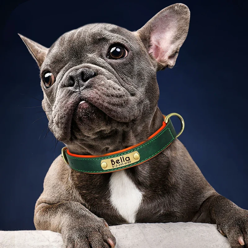 Collier Cuir Chien Personnalisé Gravure