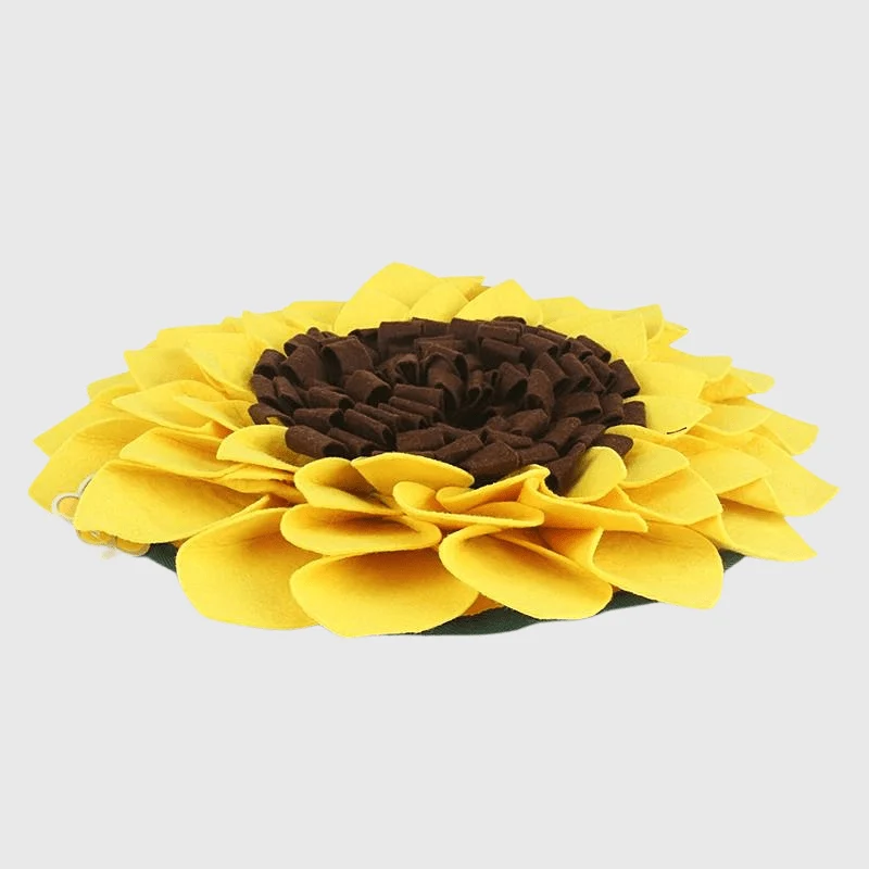 Tapis de Fouille Tournesol Chien Olfactif