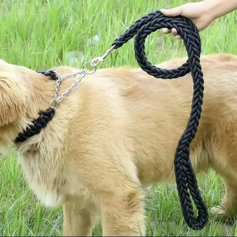 Laisse Corde Nylon Résistante Gros Chien