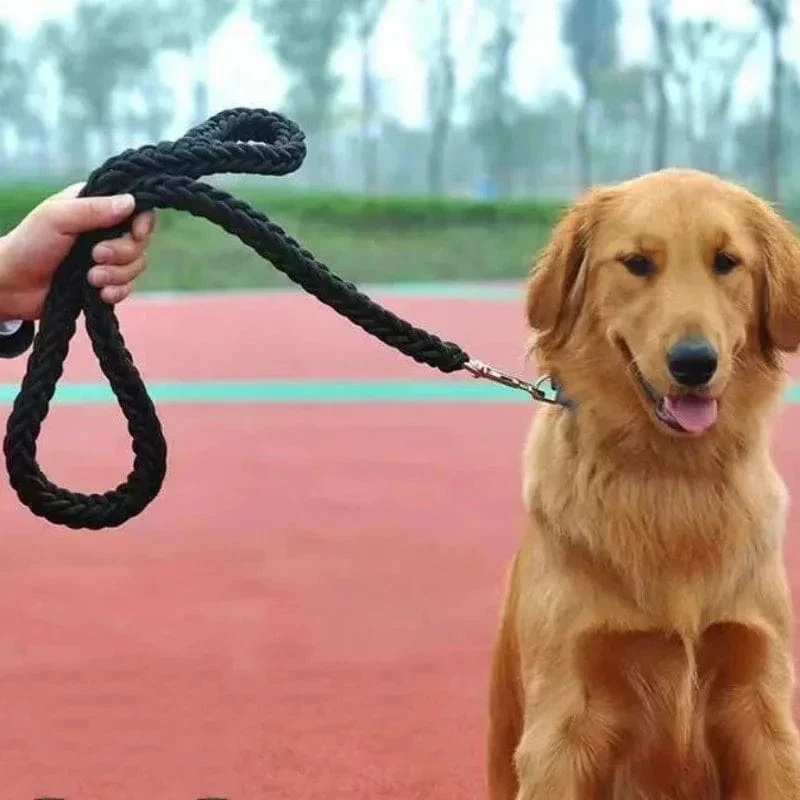 Laisse Corde Nylon Résistante Gros Chien