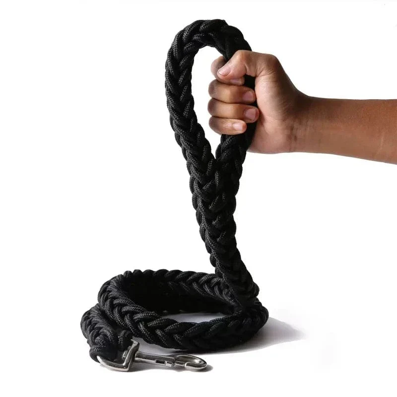 Laisse Corde Nylon Résistante Gros Chien
