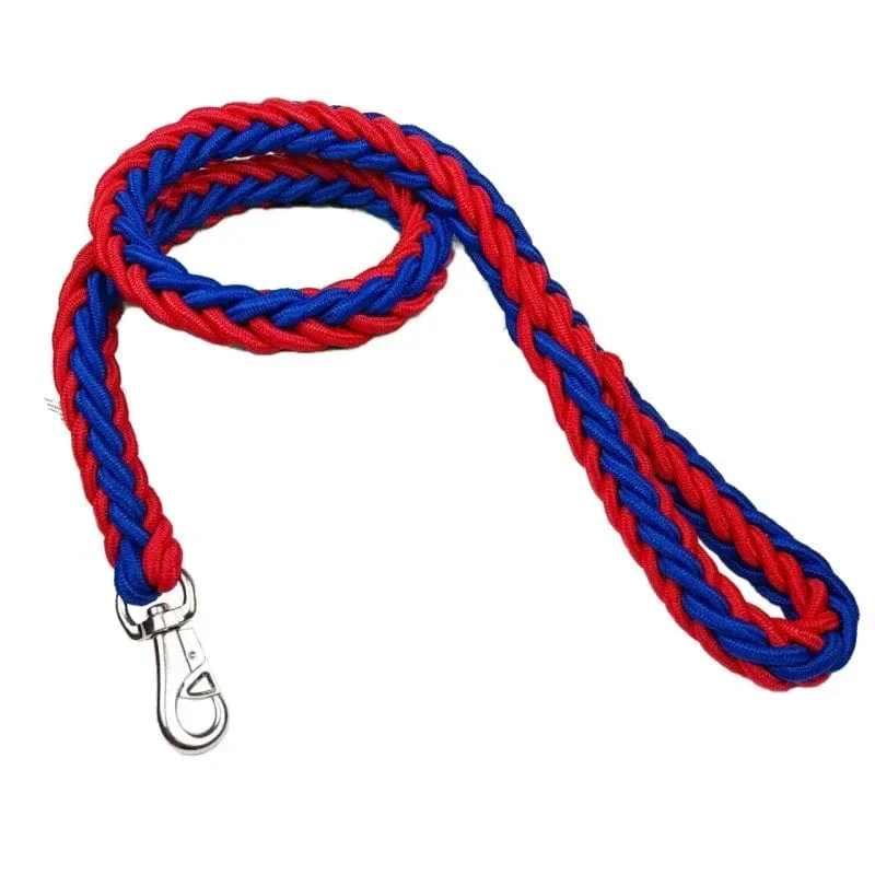 Laisse Corde Nylon Résistante Gros Chien