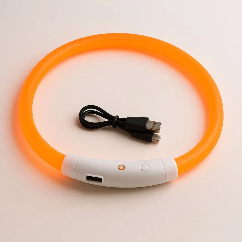 Collier Lumineux LED Rechargeable Gros Chien