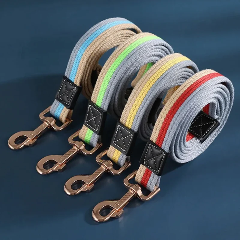 Laisse Nylon Éducation Chiot 2m Largeur 25mm