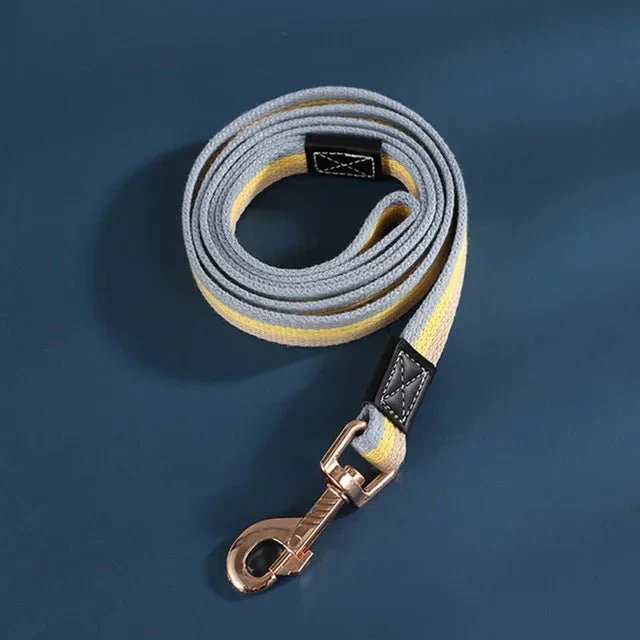 Laisse Nylon Éducation Chiot 2m Largeur 25mm