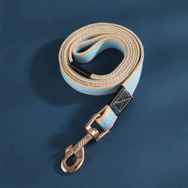 Laisse Nylon Éducation Chiot 2m Largeur 25mm