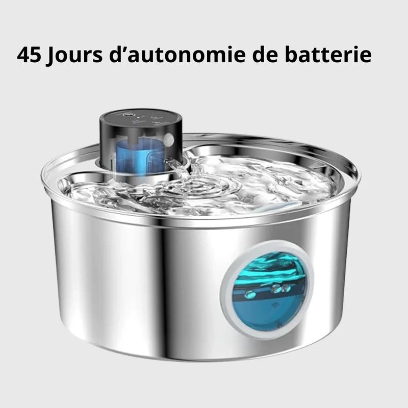 Fontaine Extérieure Eau Gros Chien Auto