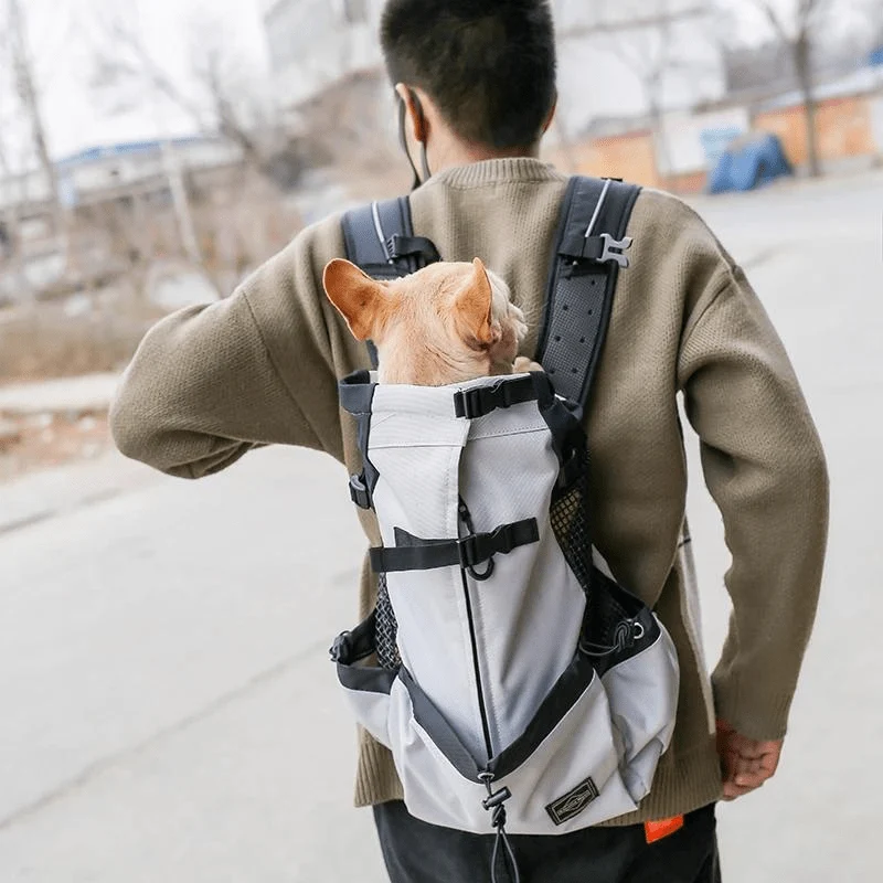 Sac à Dos Chien Rangements 4 Couleurs S-XL