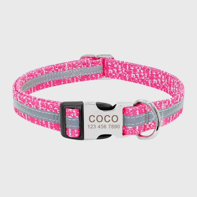 Collier Personnalisé Prénom Téléphone Chien