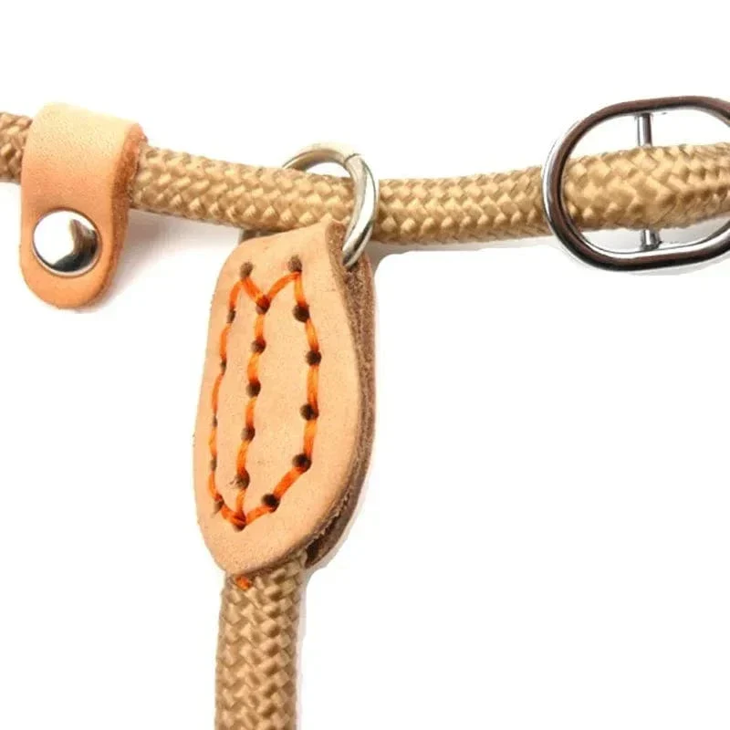 Laisse Nylon Antidérapante Gros Chien Puissant