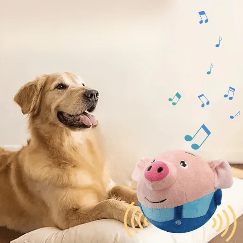 Cochon Sauteur Interactif Jouet Chien