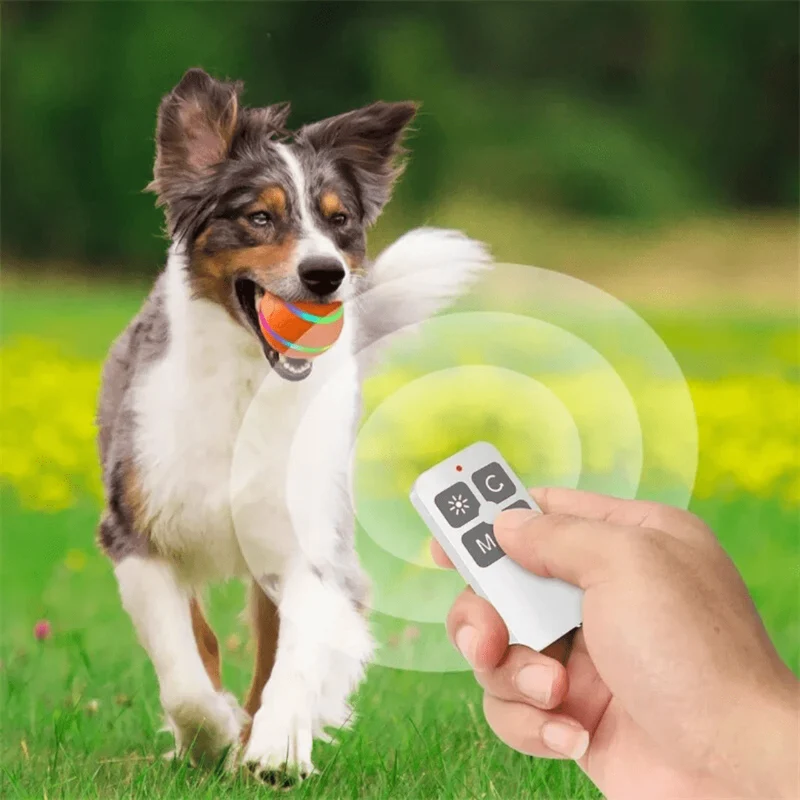 Balle Interactive Télécommandée Rechargeable USB Chien