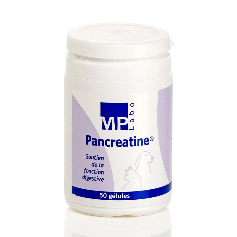 Pancreatine chat, chien