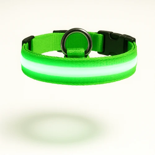 Collier LED Lumineux Rechargeable Gros Chien