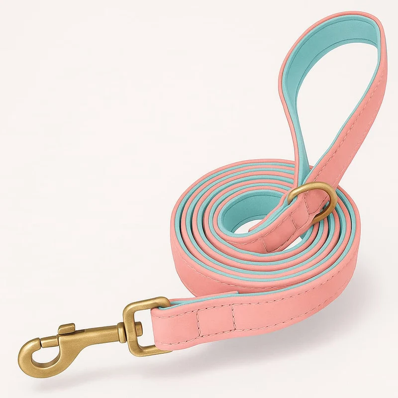 Set Collier Laisse Cuir Gros Chien