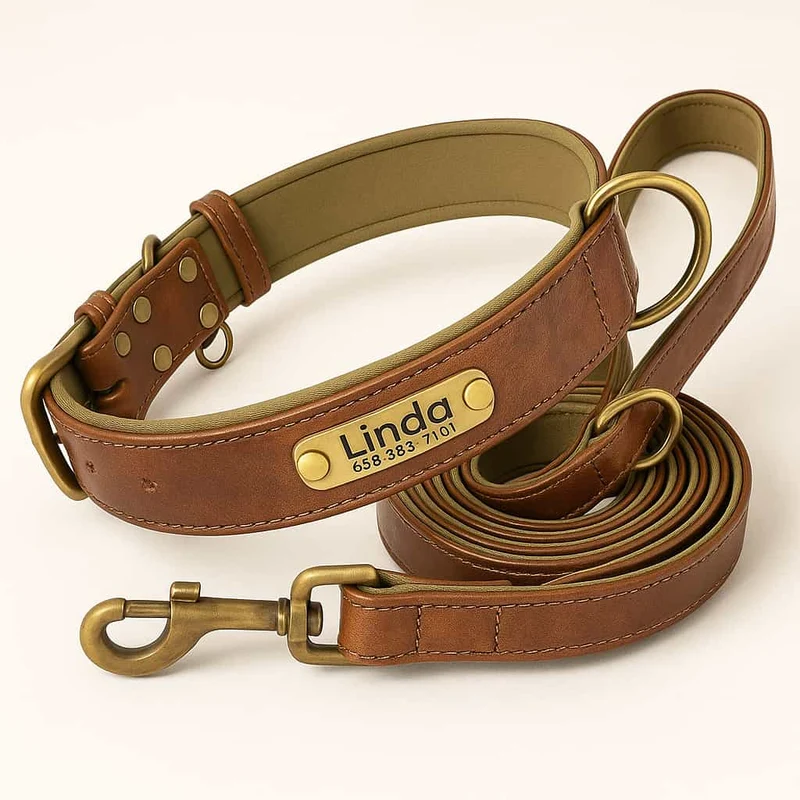 Set Collier Laisse Cuir Gros Chien