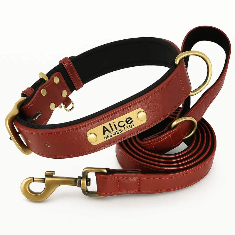 Set Collier Laisse Cuir Gros Chien