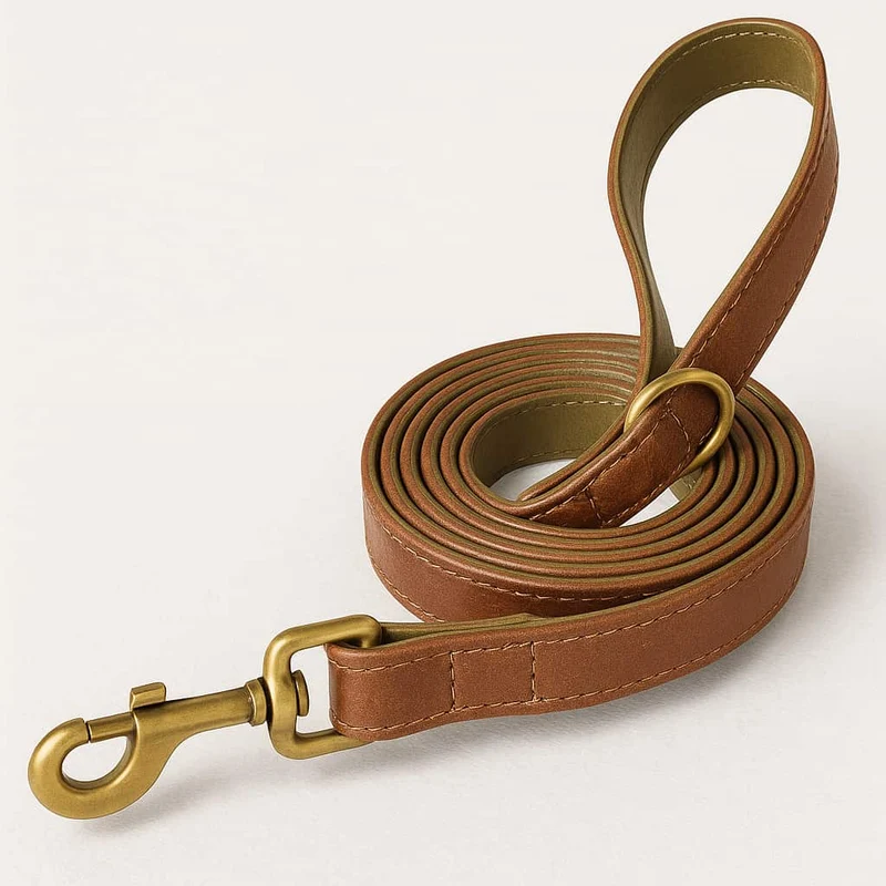 Set Collier Laisse Cuir Gros Chien