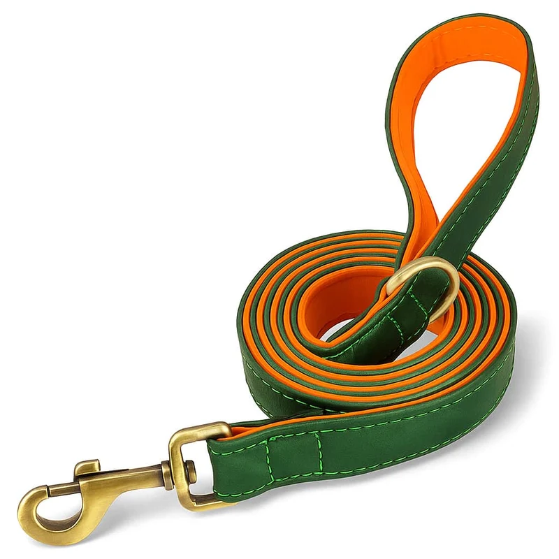 Set Collier Laisse Cuir Gros Chien